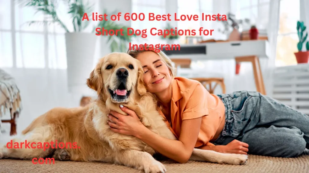 Love Insta Short Dog Captions for Instagram
