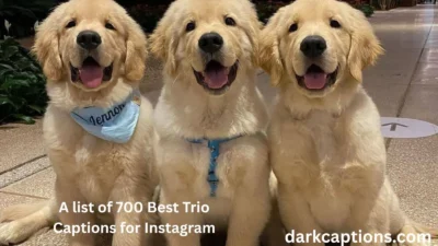 Trio Captions for Instagram