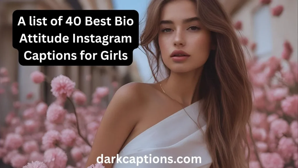Bio Attitude Instagram Captions for Girls