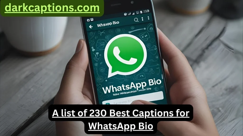 Captions for WhatsApp Bio