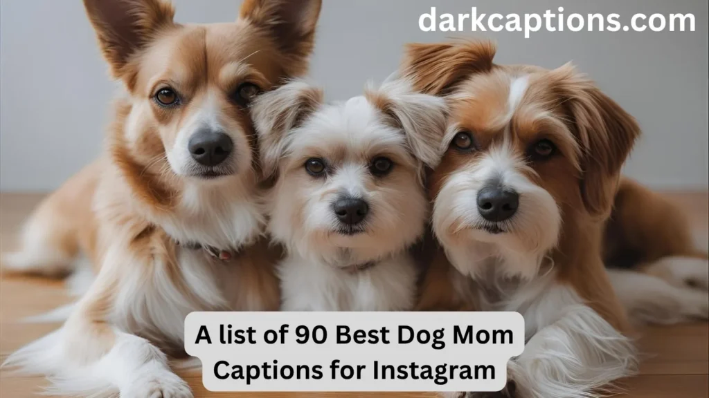 Dog Mom Captions for Instagram