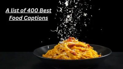 Food Captions