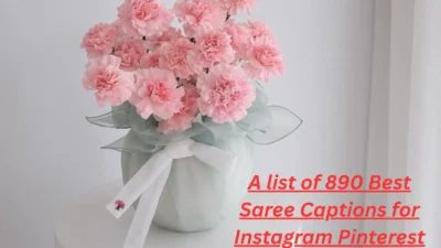 Saree Captions for Instagram Pinterest