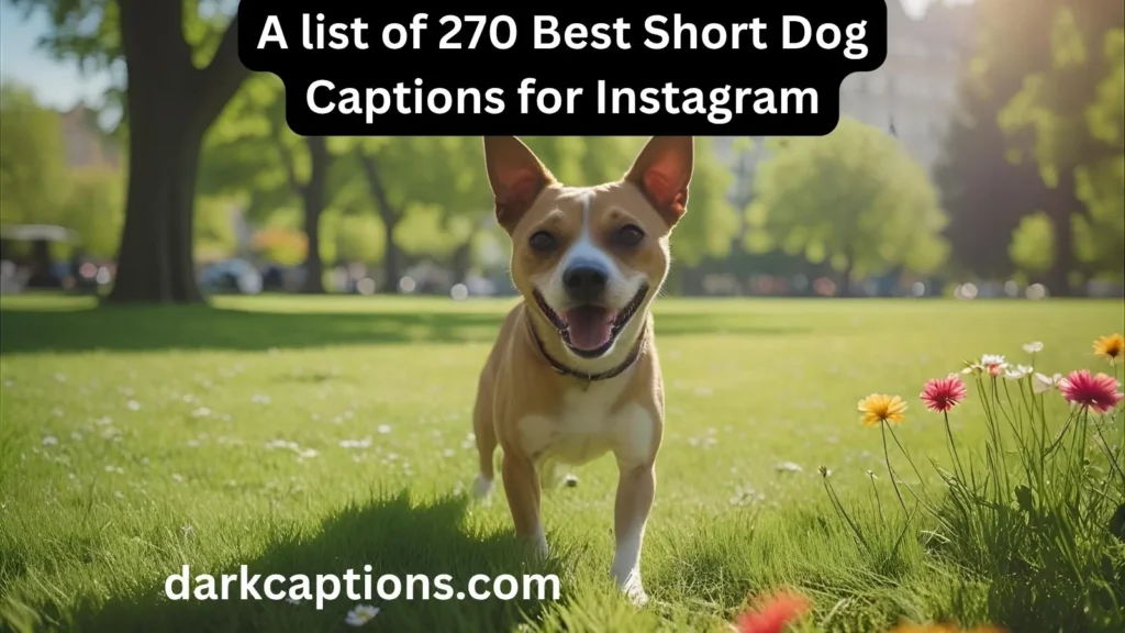 Short Dog Captions for Instagram