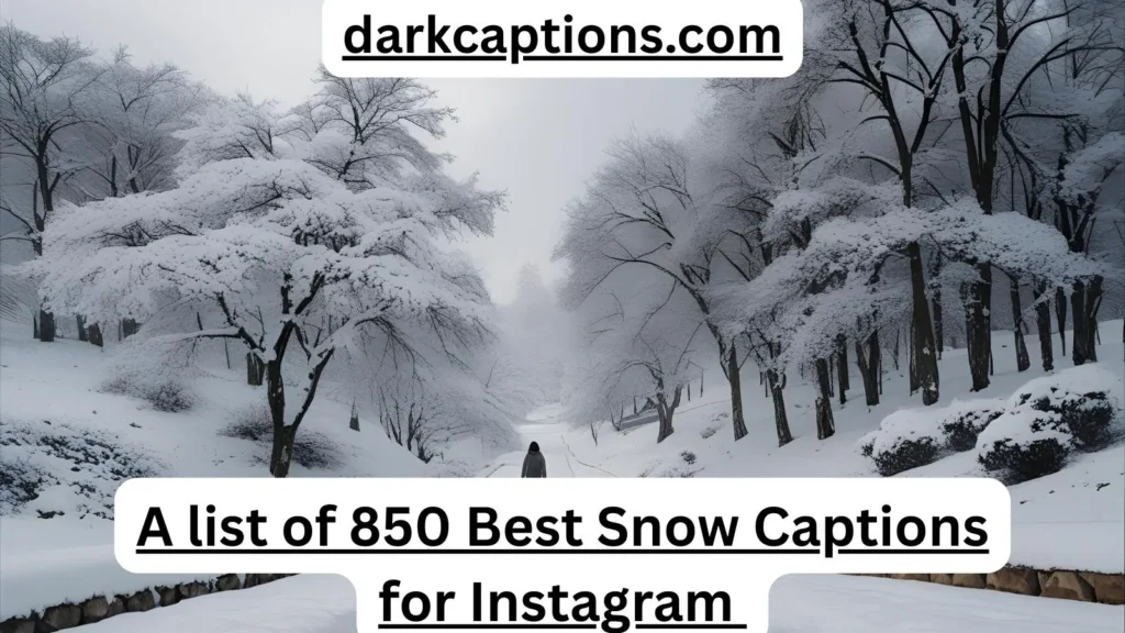 Snow Captions for Instagram