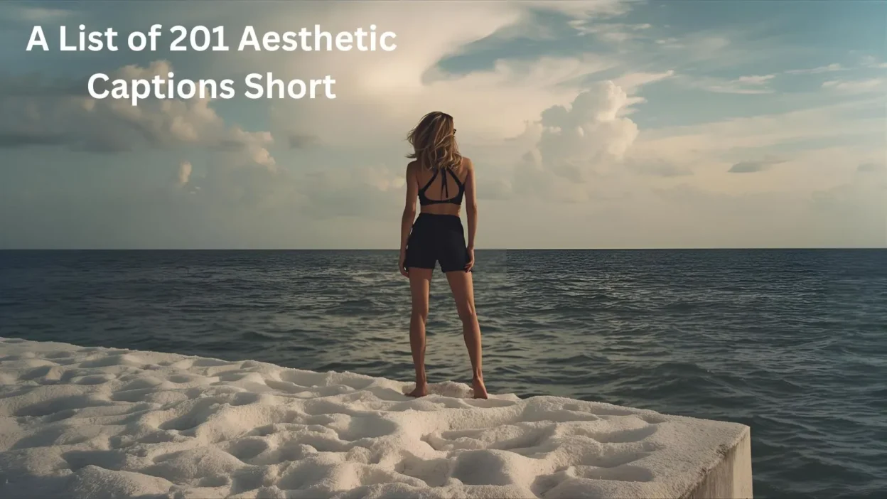 Aesthetic Captions Short