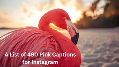 Pink Captions for Instagram